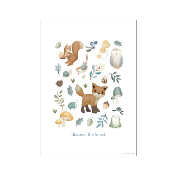 Poster Forest Wonders A3 | Little Dutch